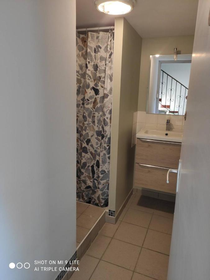 La Cahute, Appartement T2 Avec Jardin Ou Appartement Familial T6 Монтобан Екстер'єр фото